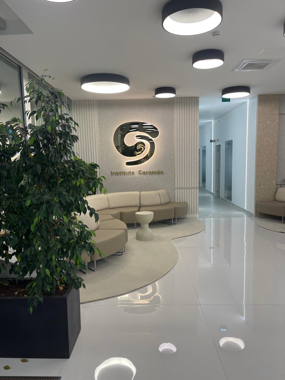 Institute Caramês